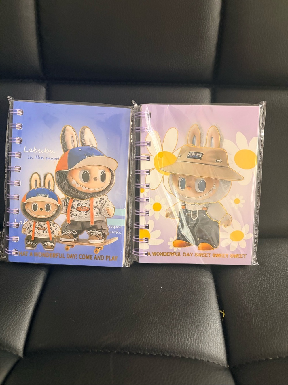 2pcs small notebooks